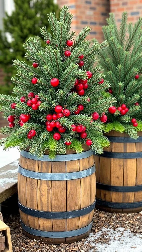 Rustic barrel planters filled with pine and red berries