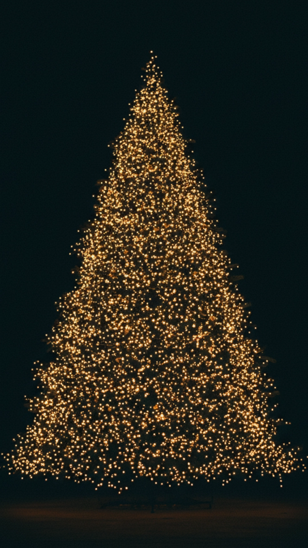  A Christmas tree in a dark room, illuminated solely by a dense wrapping of warm white lights.