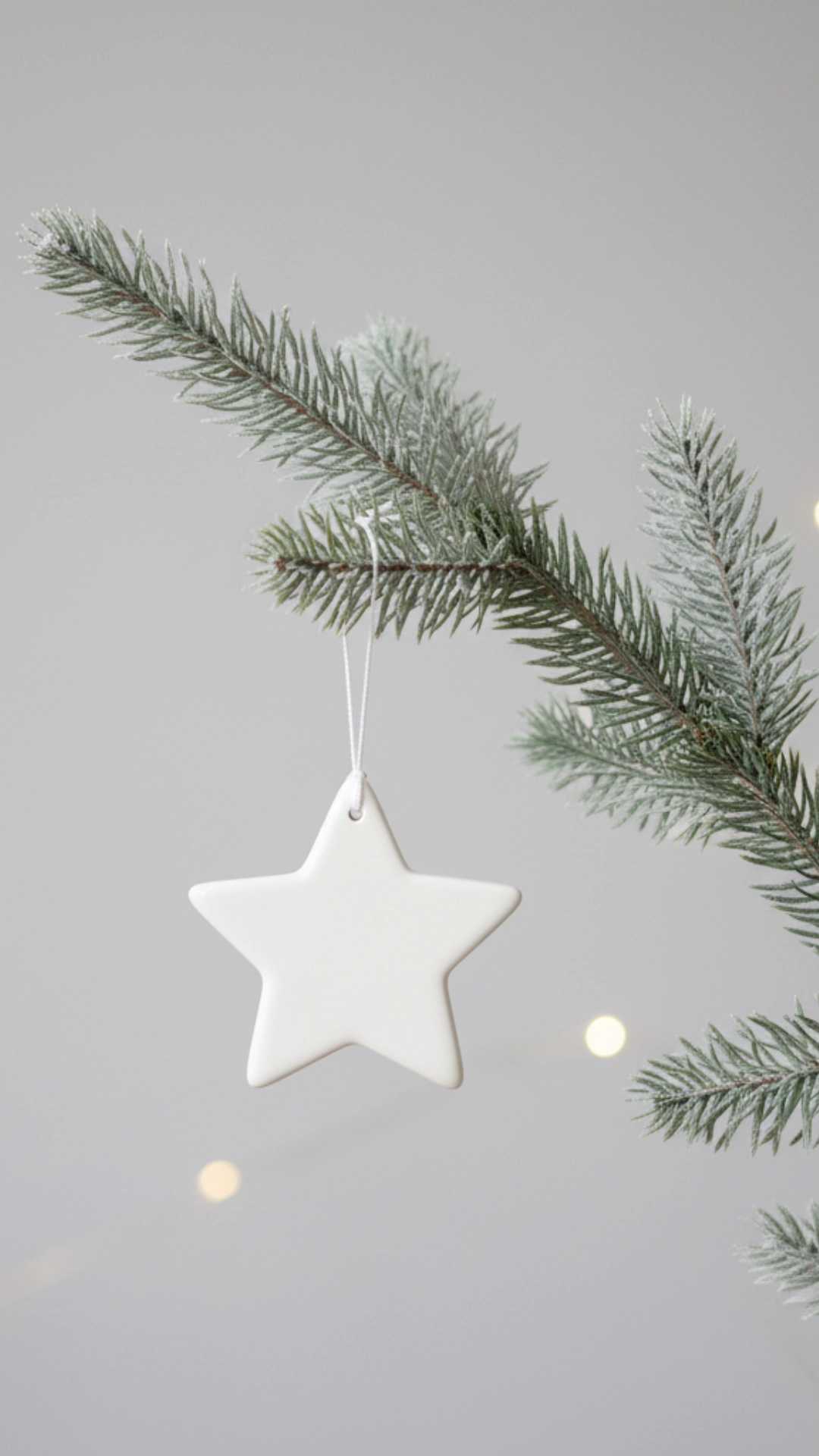  A simple white ceramic star ornament hanging from a sparse Christmas tree branch.