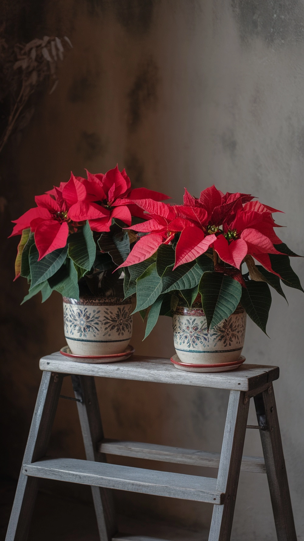16 Stunning Red Christmas Decor Ideas 22 Two red poinsettia plants in decorative pots on a wooden ladder