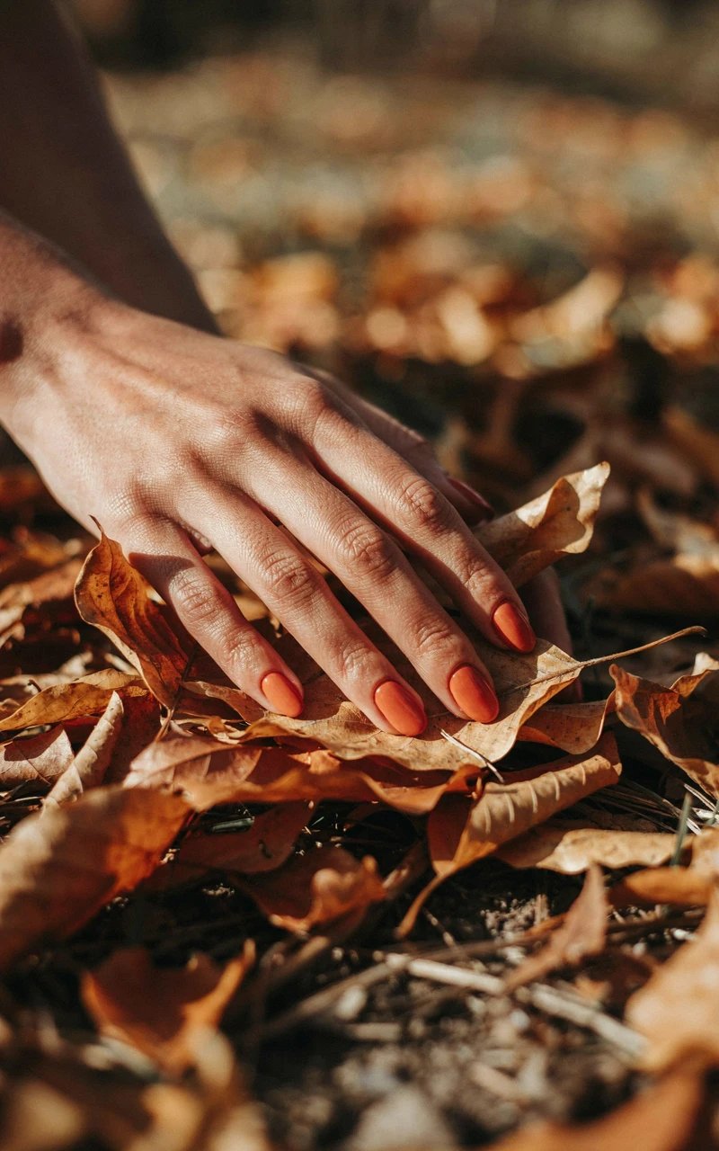 13 Almond Fall Nail Ideas That Look Elegant and Trendy 3 A dark brown woman's hand resting on autumn leaves showing off matte burnt orange almond nails.