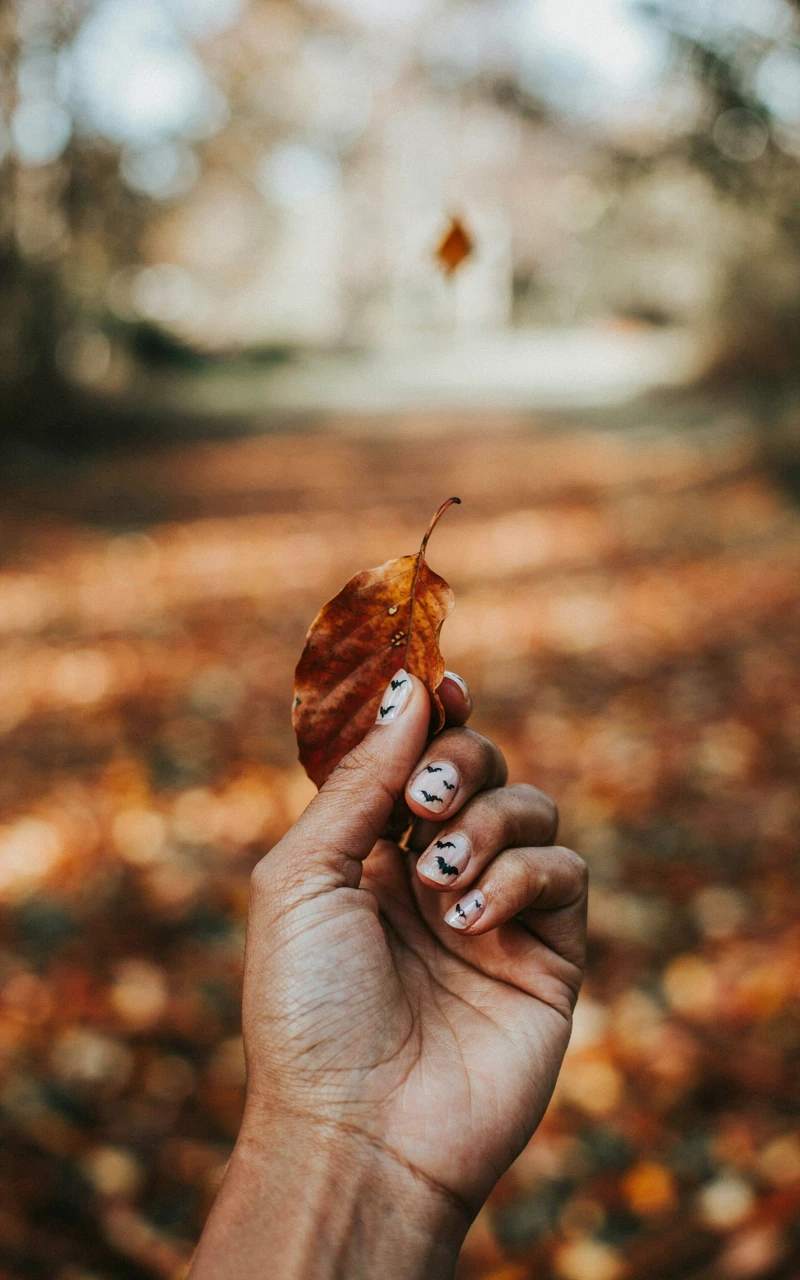 A dark brown woman's hand holding a dried leaf, displaying translucent milky white nails with tiny black bat silhouettes.