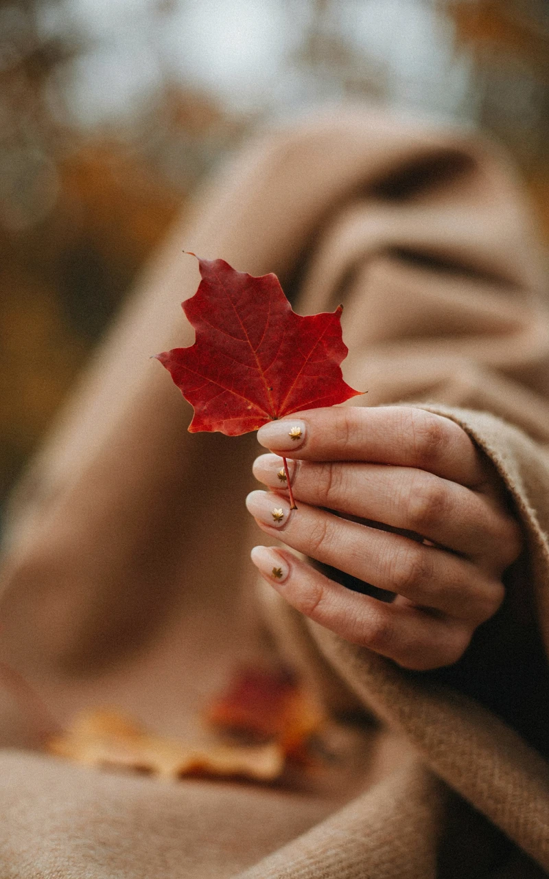 Cute fall nails with tiny gold chrome leaf accents on a woman's hand holding a red maple leaf by a camel scarf
